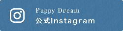 Puppy Dream 公式Instagram