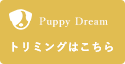 Puppy Dream トリミング